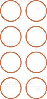 Jaguar Pakkingsset, inlaatspruitstuk 117763701