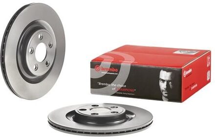 Jaguar Remschijf 09D06111