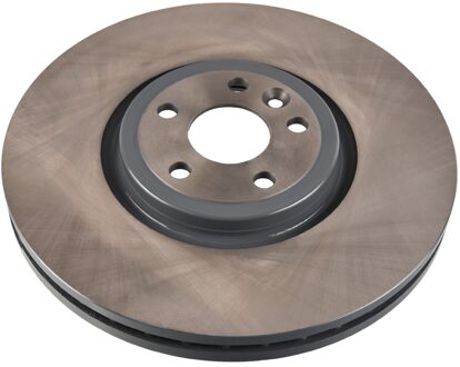 Jaguar remschijf 107221