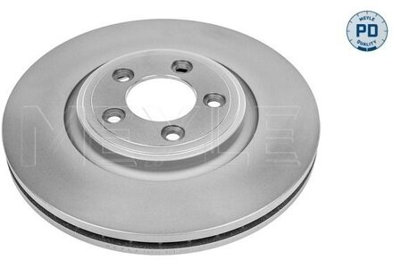 Jaguar Remschijf 18155210011PD