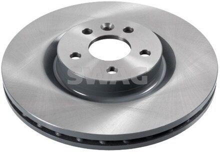 Jaguar remschijf 33100138