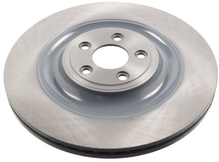 Jaguar Remschijf 44137