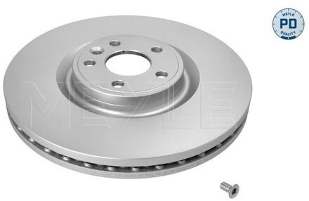 Jaguar Remschijf 53835210020PD