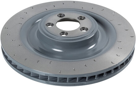 Jaguar Remschijf ADJ134377