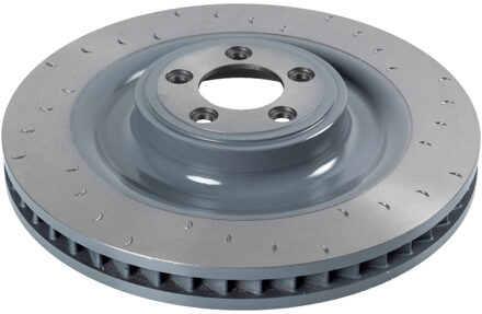 Jaguar Remschijf ADJ134378