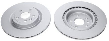 Jaguar Remschijf BR10065C