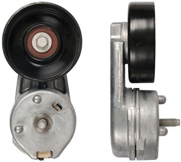 Jaguar Spanrol, Poly V-riem T39423