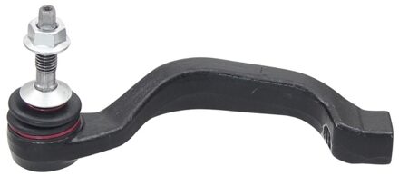 Jaguar Spoorstangeind