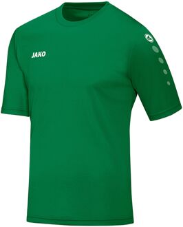JAKO Team SS T-shirt Heren Sportshirt performance - Maat XL  - Mannen - groen