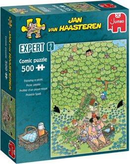 Jan van Haasteren Expert picnic plezier - 500 stukjes