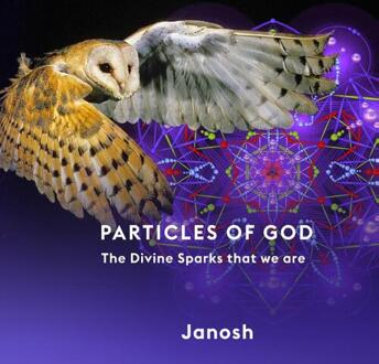 Janosh Art Particles Of God - Janosh