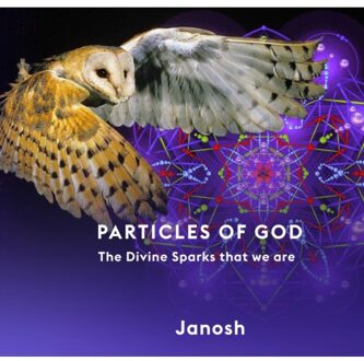 Janosh Art Particles Of God - Janosh
