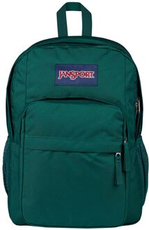 JanSport Big Day Pack deep juniper rugzak Groen - H 44.5 x B 32 x D 14 cm