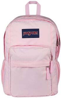JanSport Big Day Pack pink ice rugzak Roze - H 44.5 x B 32 x D 14 cm