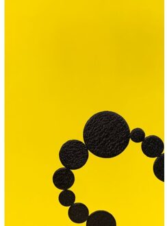 Jap Sam Books Diamonds Are Not For Everyone. Kees De Goede - Kees de Goede