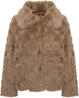 Jasje willem5a Bruin