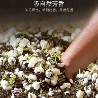 Jasmine Tea New Tea Big White Jasmine Tea Premium Silver Needle Jasmine Tea