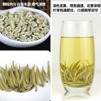 Jasmine Tea White Jade Snail King 2019 New Tea Super Strong Flavor