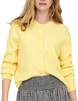 JDY Lumi Life Knit Cardigan Vest Dames - XS