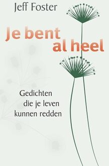 Je bent al heel