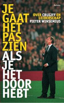 Je gaat het pas zien als je het doorhebt - Boek Pieter Winsemius (9460034993)