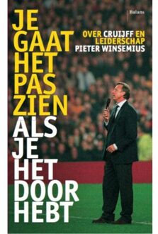 Je gaat het pas zien als je het doorhebt - Boek Pieter Winsemius (9460034993)