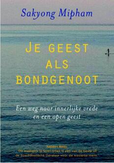 Je geest als bondgenoot - Boek Sakyong Mipham (9076681244)