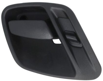jeep Handgreep, interieur 601055005409P