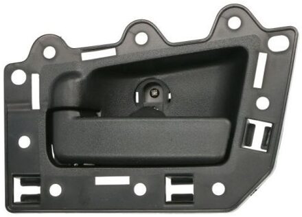 jeep Handgreep, interieur 601055008409TP
