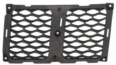 jeep Radiateurgrille 6502073207993P