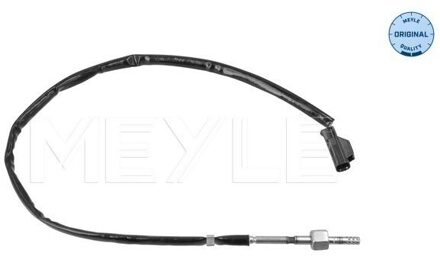 jeep Sensor, uitlaatgastemperatuur 2148000053