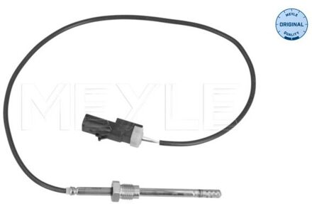 jeep Sensor, uitlaatgastemperatuur 2148000057