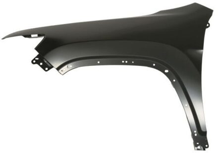 jeep Spatbord 6504043208311P