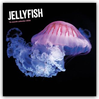Jellyfish Square Wall Sunday Start Calen - Browntrout Wandkalender - Carousel Calendar