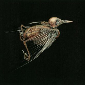 Jenny Hval & Susanna - Meshes Of Voice