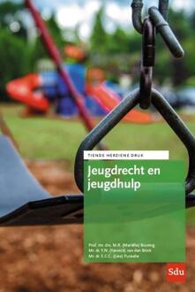 Jeugdrecht en jeugdhulp -  Lies Punselie (ISBN: 9789012409247)