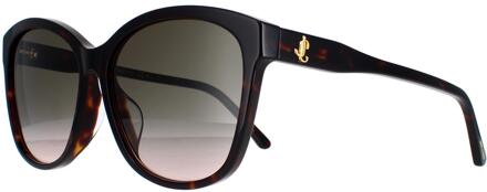 Jimmy Choo Lidie/F/SK 086/HA donker havana bruin gradiënt zonnebril