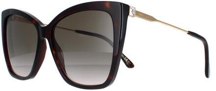 Jimmy Choo Seba/S 086/HA donker havana bruin gradiënt zonnebril