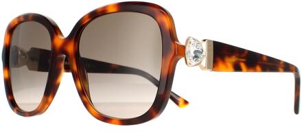 Jimmy Choo zonnebril sadie/s 086 ha havana bruine gradiënt - One Size