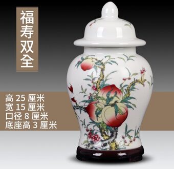 Jingdezhen Keramische Thee Pot Algemene Tank Huishoudelijke Opslagtank Porselein Pot Groene Thee Zwarte Thee Pu'er Thee Opslagtank