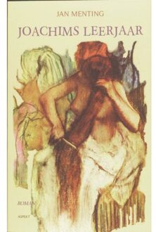 Joachims leerjaar - Boek J. Menting (9059116739)