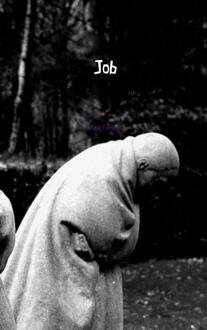 Job - (ISBN:9789402116830)