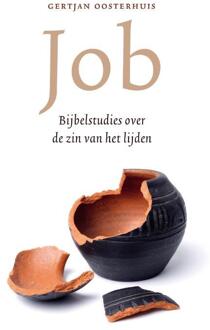 Job (POD) -  Gertjan Oosterhuis (ISBN: 9789043541169)