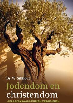 Jodendom en christendom -  W. Silfhout (ISBN: 9789402913958)