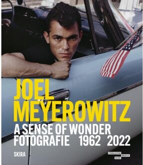 Joel Meyerowitz: A Sense Of Wonder (Bilingual Edition)