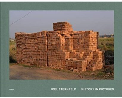 Joel Sternfeld: History In Pictures - Joel Sternfeld