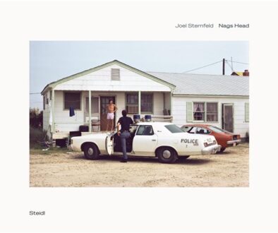 Joel Sternfeld: Nags Head - Joel Sternfeld