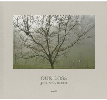 Joel Sternfeld: Our Loss - Joel Sternfeld