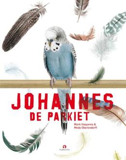 Johannes de parkiet - Boek Mark Haayema (9047623983)
