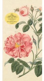 John Derian Paper Goods: Everything Roses Notepad - John Derian Paper Goods - John Derian